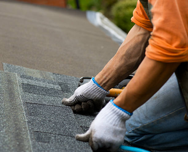 Best Roof Repair Services  in Tladega, AL